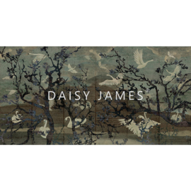 Daisy James THE LAKE Petrol