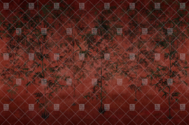 DANCE LITTLE SISTER (3 colors)