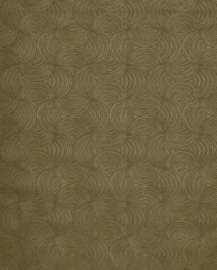 METEORE (div. kleuren)