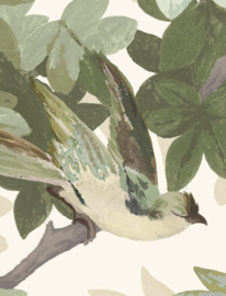 LES OISEAUX (3 kleuren)