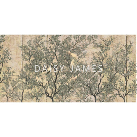 Daisy James THE SONG (2 colors)