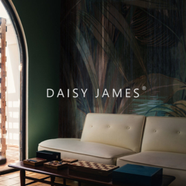 Daisy James THE WASH