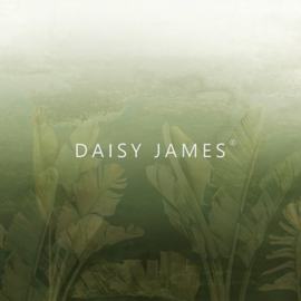 Daisy James THE PURE (2 Farben)