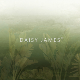 Daisy James THE PURE (2 colors)