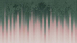 DAINTREE by Paolo Giordano & Simona Cardinetti
