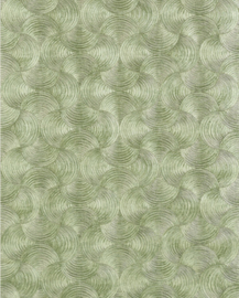 APHELIE (div. kleuren)