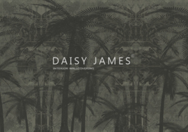 Daisy James THE SUNSET BLVD (3 colors)