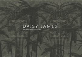 Daisy James THE SUNSET BLVD (3 kleuren)
