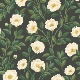 Cole & Son HAMPTON ROSES (4 colors)