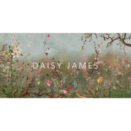 Daisy James THE DREAM
