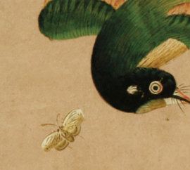 CHINOISERIE peach