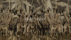 Daisy James THE GIRAFFES