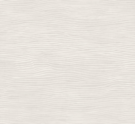 LUCENCE (4 colors)