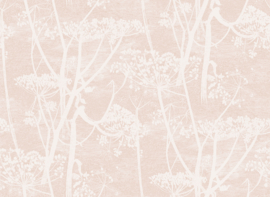 Icons COW PARSLEY (5 colors)