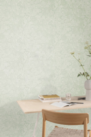 BELLIS Skylight ROM105