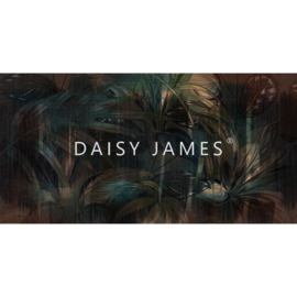 Daisy James THE WASH