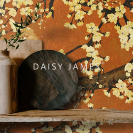 Daisy James THE HANA ORANGE
