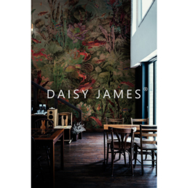 Daisy James THE SALMON