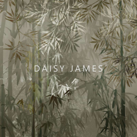Daisy James THE BAMBOO (4 colors)