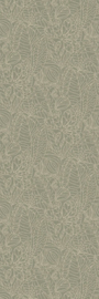 ARGANIA (diverse kleuren)