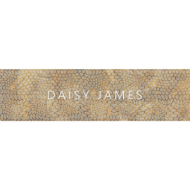 Daisy James THE BEIGE AND GOLD