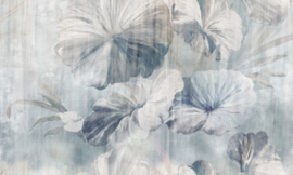 LOTUS STRATUM
