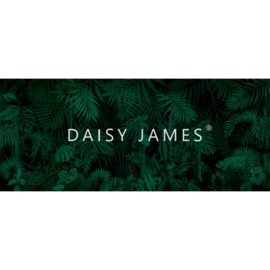 Daisy James THE EVERGREEN