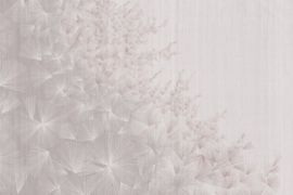 Glamora DANDELION