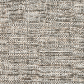 VP 731 17  Madagascar - Nouveau cycle