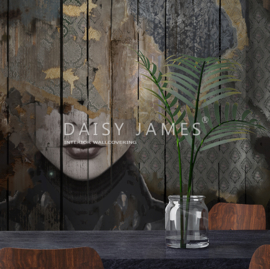 Daisy James THE WOODEN FACE