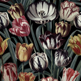 Mind The Gap TULIPA (2 kleuren)