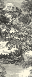 SALCEY Forest