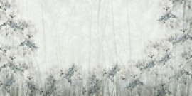 MEADOW