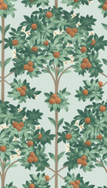 Seville Collection ORANGE BLOSSOM (4 kleuren)