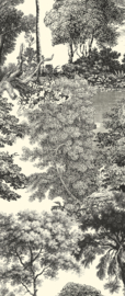 SALCEY Forest