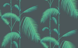 Icons PALM LEAVES (4 colors)