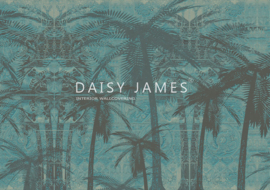 Daisy James THE SUNSET BLVD (3 kleuren)