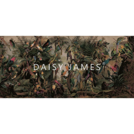 Daisy James THE ARA