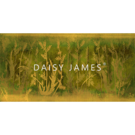 Daisy James THE LOOM (3 Farben)