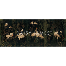 Daisy James THE RED CROWN