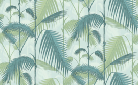 Icons PALM JUNGLE (4 colors)