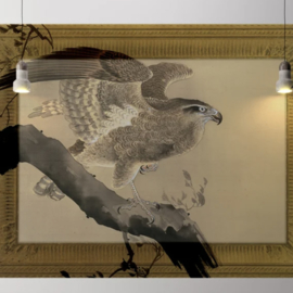 Framed Wallpaper EAGLE (2 colors)