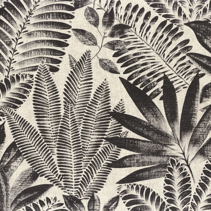 ALOES (4 kleuren)