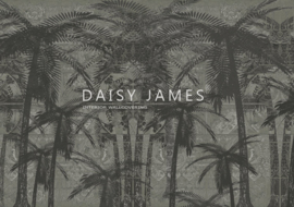 Daisy James THE SUNSET BLVD (3 kleuren)