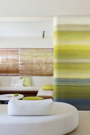 Serica CHANDERI (6 kleuren)