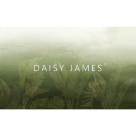 Daisy James THE PURE (2 colors)