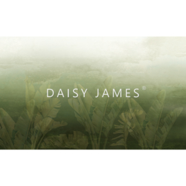 Daisy James THE PURE (2 Farben)