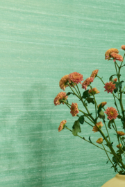 Elitis KOSA SILK (diverse kleuren)
