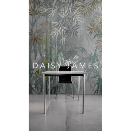 Daisy James THE BAMBOO (4 colors)
