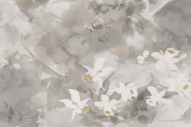 Glamora DAFFODIL DREAM